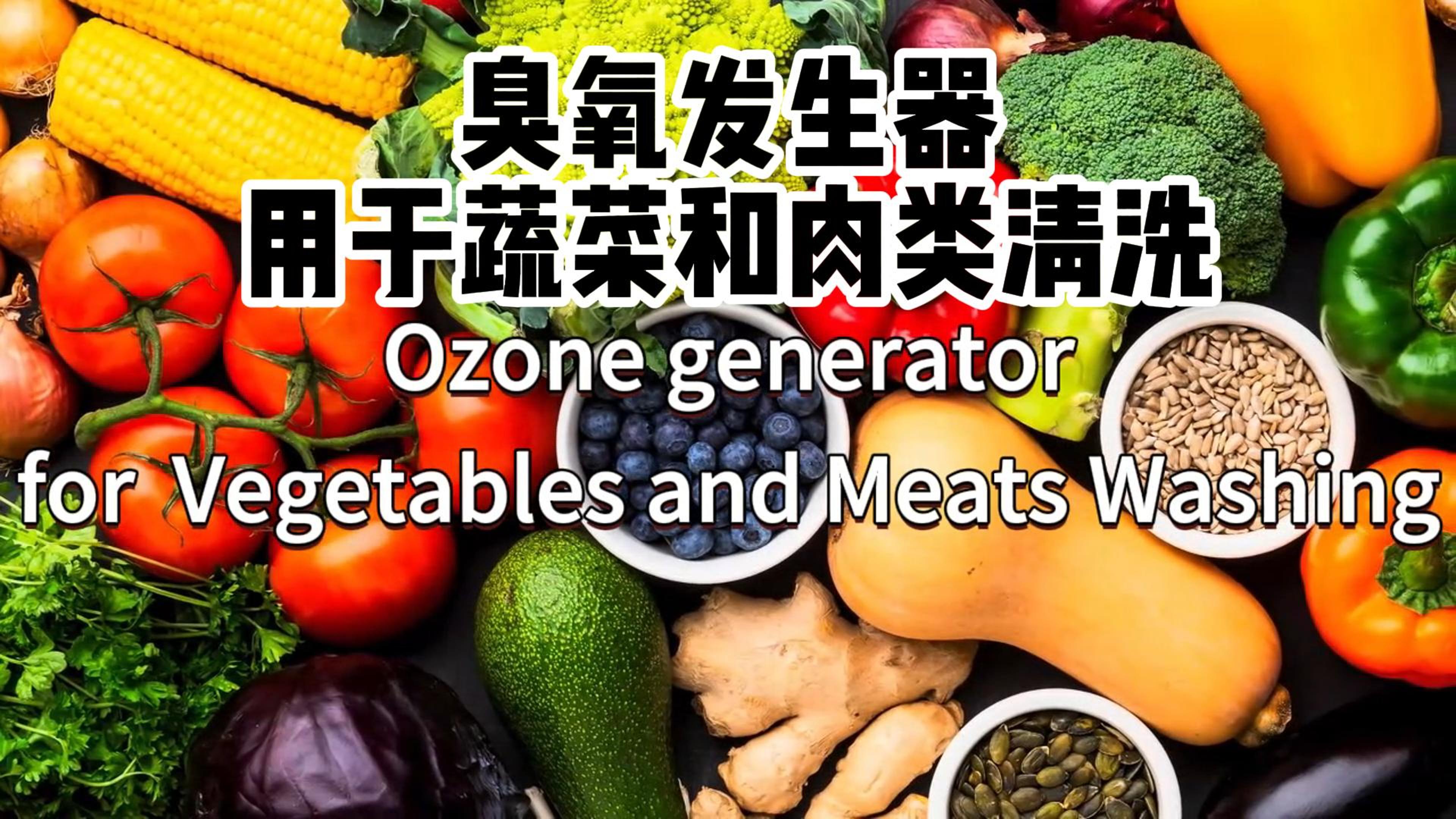 臭氧發生器在食品加工和儲存過程中用于蔬菜、水果和肉類的消毒